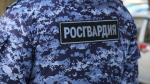 В Петербурге росгвардейцы задержали разыскиваемого злоумышленника