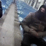 Трое недорослей попали в уголовное дело о дверях электрички и баллоне с перцем в Щеглово - 47 новостей