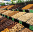 Как восполнить дефицит магния без таблеток? Рекомендации специалиста - 47 новостей