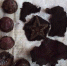 Поисковики установили имена погибших летчиков, найденных вместе с самолетом времен Войны в Ленобласти - 47Channel.Ru