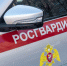 В Петербурге сотрудники Росгвардии за 10 минут поймали подозреваемого в мошенничестве - Online47.Ru