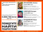 Следком завел дело после исчезновения трех подростков в подмосковном Звенигороде