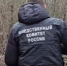 Видео: У станции под Петербургом нашли тело юноши без рук и ног - 47 новостей