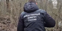 Видео: У станции под Петербургом нашли тело юноши без рук и ног - 47 новостей