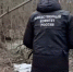 Задержана 17-летняя сообщница 16-летнего убийцы в Пушкинском районе - 47Channel.Ru