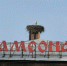 В Ленобласть вернулись аисты не просто рано, а необычайно рано - 47 новостей