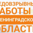В Ленобласти скорректировали план ледовзрывных работ из-за аномального потепления - Online47.Ru