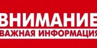 Жителей Кингисеппа предупреждают: при обнаружении обломков БПЛА и ракет нужно звонить в полицию - 47 новостей