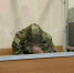Жилкин, обвиняемый в убийстве 9-летнего Паши, пробудет под стражей до конца мая. Им занимаются психиатры - 47 новостей