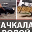 Последствия потопа в Дагестане: люди со всей страны помогают пострадавшим - ЛенТВ24