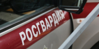 В Петербурге 19-летний отправил женщину в нокдаун после замечания о курении - 47 новостей