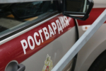 В Петербурге 19-летний отправил женщину в нокдаун после замечания о курении