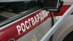 В Петербурге прохожие попытались вразумить курильщика на остановке. Все закончилось Росгвардией и госпитализацией