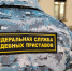 Горе-отец из Ломоносова лишится иномарки из-за долга по алиментам в 330 тыс. рублей - ЛенТВ24