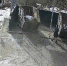 Во Всеволожске очистили захламленные контейнерные площадки - 47 новостей