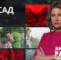 Как оставаться эффективным садоводом и выращивать завидный урожай? - ЛенТВ24