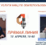 Горячая линия МФЦ и Роскадастра – о новых услугах - Администрация ЛенОбласти