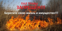 Следственное управление Следственного комитета Российской Федерации по Ленинградской области разъясняет об ответственности и опасности в случае поджога сухой травы в весенний период - Следственный комитет