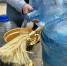 IMG_20260412_142054.png - 47 новостей