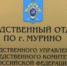 Пост жительницы Мурино привлек внимание следователей - ЛенОблИнформ