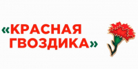 В Ленинградской области стартовала акция помощи ветеранам «Красная гвоздика» - Online47.Ru