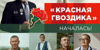 В Ленобласти проходит акция "Красная гвоздика" - 47Channel.Ru