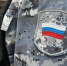 Более 630 нелегальных мигрантов покинули Ленинградскую область и Россию под контролем судебных приставов - УФССП ЛО