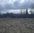 photo_2026-04-21_11-51-13.jpg - 47 новостей