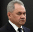 Шойгу заявил, что РФ серьезно относится к угрозам ВСУ взять под контроль Приднестровье - Online47.Ru