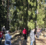 Сотрудники Комитета по здравоохранению Ленобласти привели в порядок парк в Подпорожье - Online47.Ru