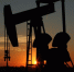 Новак сообщил о смене направления поставляемой по «Дружбе» нефти из Казахстана - Online47.Ru