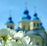 tILI-xdv7NSL5c5i0c8FqjtXqzi26HDWBHoDNyiXQFLMXig4zaH5Qo6s5mNxSVGtPV5VgLk_-rgmCYsMhG2v2phQ - Коневский мужской монастырь
