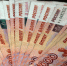 Бухгалтера, укравшую более 8 млн рублей, отправили в колонию на 3,5 года - ЛенТВ24