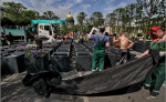 У Исаакиевского собора завершают обустройство сада-трансформера