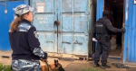 Полиция и Росгвардия провели масштабный рейд на стройках Петербурга
