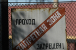 В Ленобласти жителей приграничья просят брать документы. И не гулять по ночам в лесу