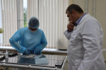 В Ленобласти определили лучшего ветеринарного фельдшера