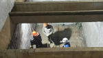 Леноблводоканал готовит новый этап модернизации водоснабжения Кингисеппа