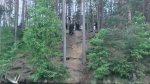В Выборгском районе росгвардейцы спасли сорвавшуюся с «тарзанки» девушку