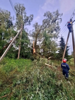 Электричество в Ленобласть возвращают больше 300 энергетиков. Свыше половины задетых авариями уже со светом