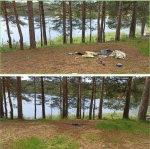 С берегов водоемов Ленобласти убрали 95 кубометров мусора