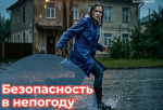 Леноблпожспас напомнил жителям региона правила безопасности во время непогоды