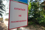 Безымянное покинуло чат. Роспотребнадзор одобрил только 8 пляжей для купания в Ленобласти и Петербурге