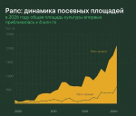 В России стартовала уборка рапса
