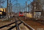 Рабочая группа по проекту «наземного метро» создана в  Петербурге