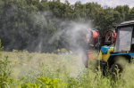 Новая практика борьбы с борщевиком