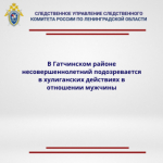 В Гатчинском районе несовершеннолетний подозревается в хулиганских действиях в отношении мужчины