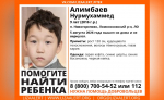 В Новогорелово третий день не могут найти пропавшего девятилетнего мальчика