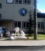 В Приозерске устанавливают скульптуру «Городки»