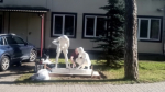 В Приозерске устанавливают скульптуру «Городки»